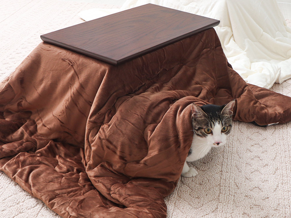 ペット用こたつ