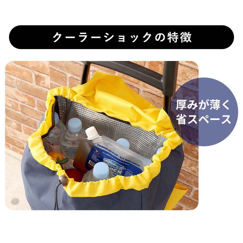 保冷剤 S M L 単品 セット クーラーショック(COOLER SHOCK) | ヤマソロ公式
