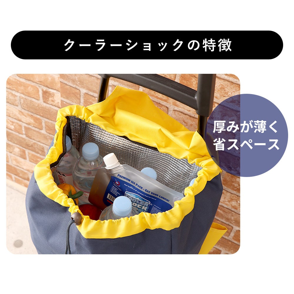 保冷剤 S M L 単品 セット クーラーショック(COOLER SHOCK) オリジナル