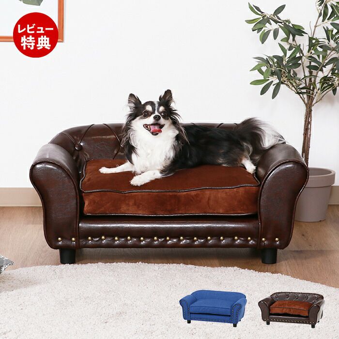 ペットソファー 000000001251-01.jpg?size=l&w=