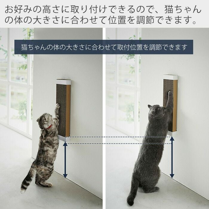 000000002357-06.jpg?size=l&w=