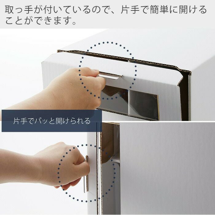 山崎実業 公式 窓付きシューズボックス タワー 2個組 トール