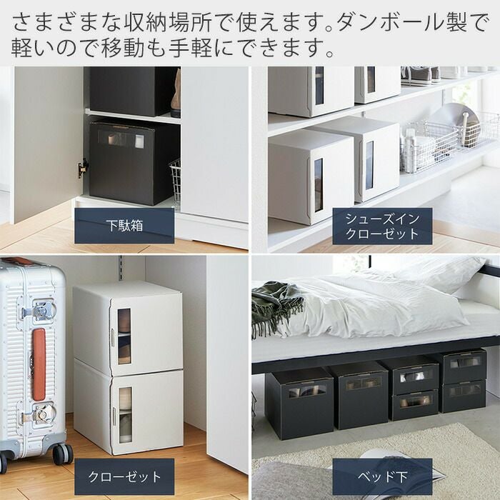 山崎実業 公式 窓付きシューズボックス タワー 2個組 トール