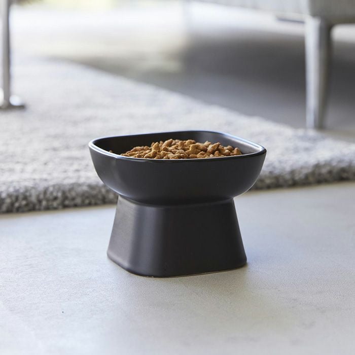 山崎実業 公式 食べやすい高さ陶器ペットフードボウル ヌークス H8