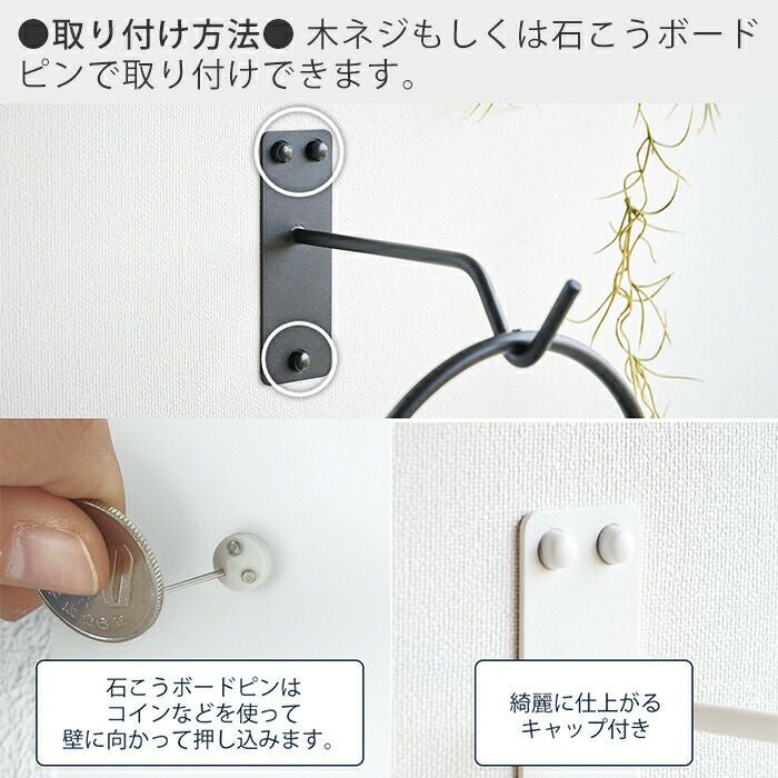 000000002493-10.jpg?size=l&w=