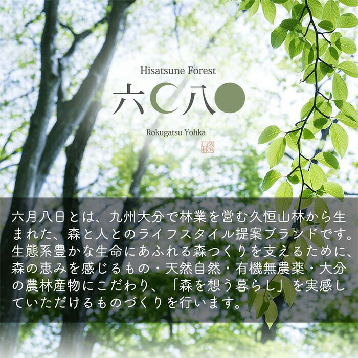 cado フォレストウォーター 400mL カドー FW-FB FW-TL 加湿器