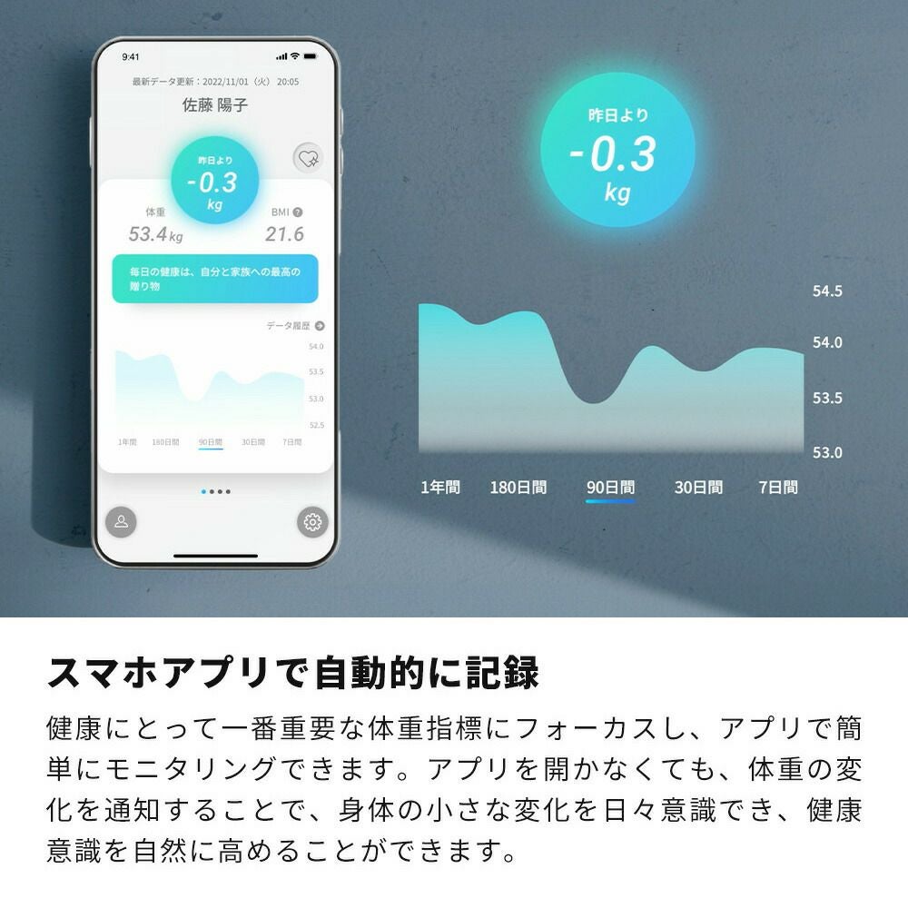 issin 取替用ソフト珪藻土マット | ヤマソロ公式