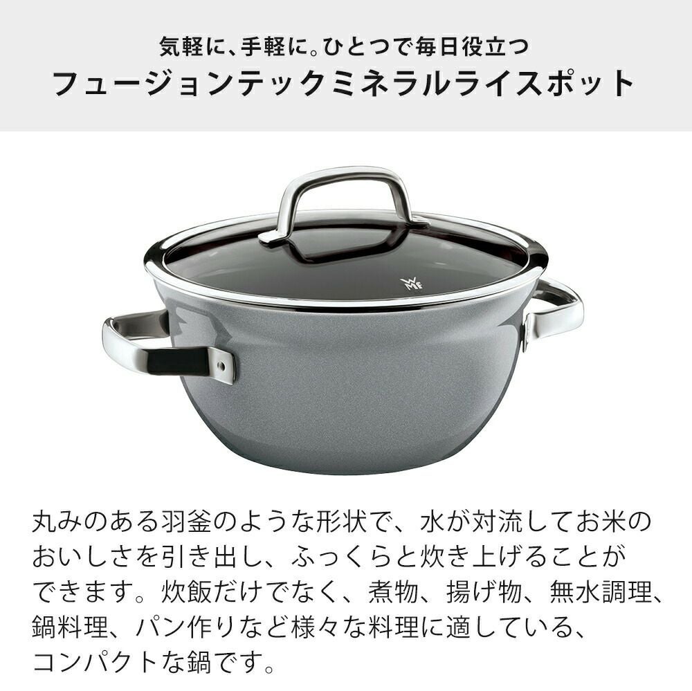 wmf フュージョンテックライスポット20cm 000000003084-06.jpg?size=l&w=