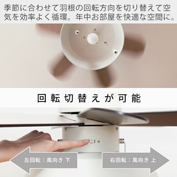シーリングファンライト 1灯 LED対応 JE-CF019 ジャヴァロエルフ