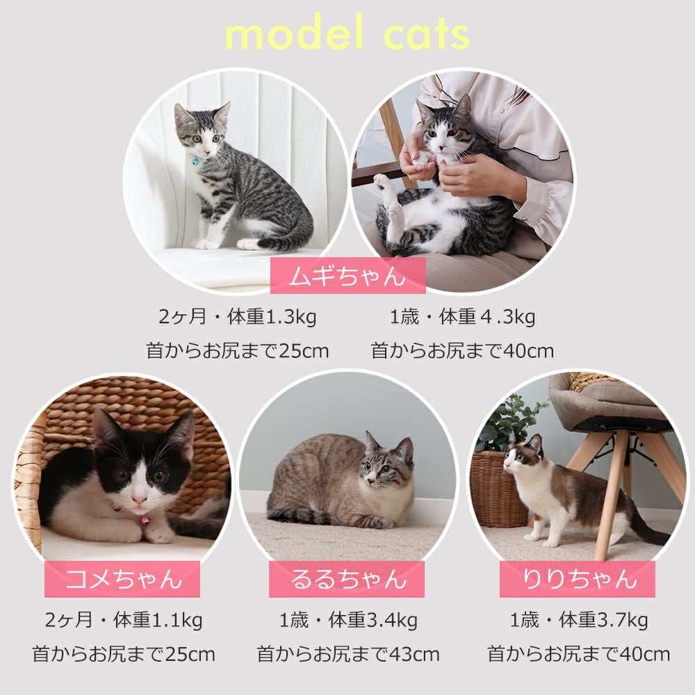 ペットハウス nenne(ネンネ) 置き型 ヤマソロ | ヤマソロ公式