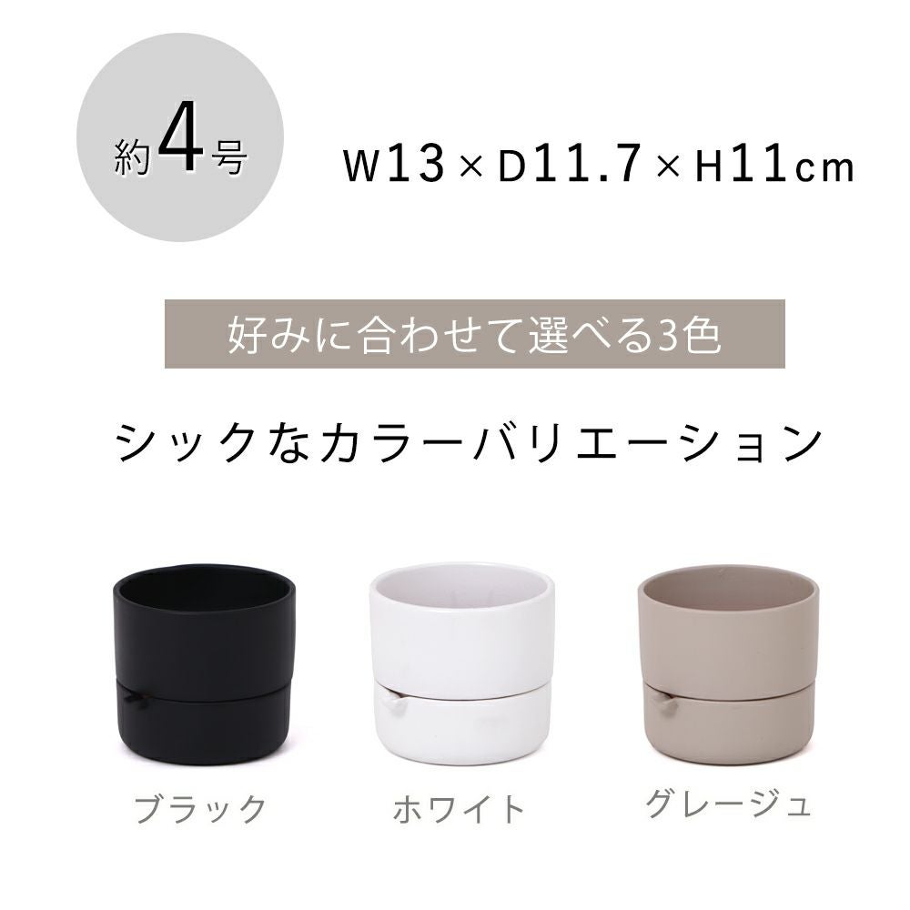絶品。アカメソロ株立3.2M(鉢底から) 底面吸水植木鉢 bere べーレ ヤマソロ | ヤマソロ公式