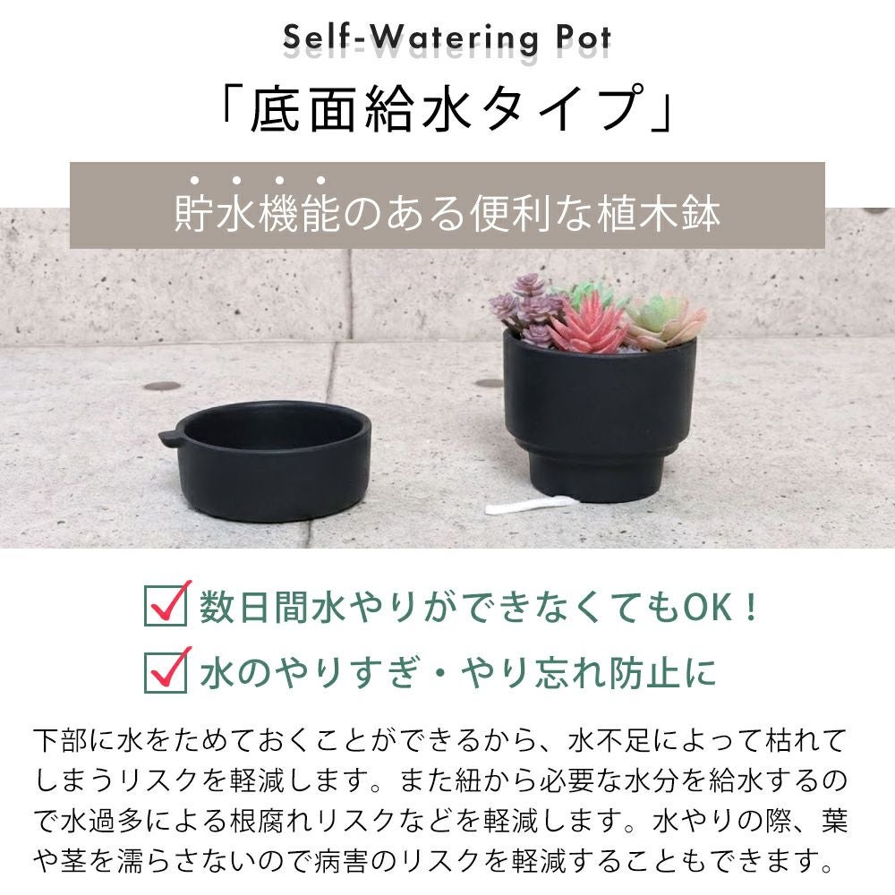 底面吸水植木鉢 bere べーレ ヤマソロ | ヤマソロ公式