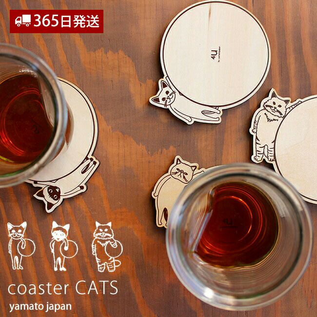 ヤマト工芸 corster CATS YK17-101 | ヤマソロ公式