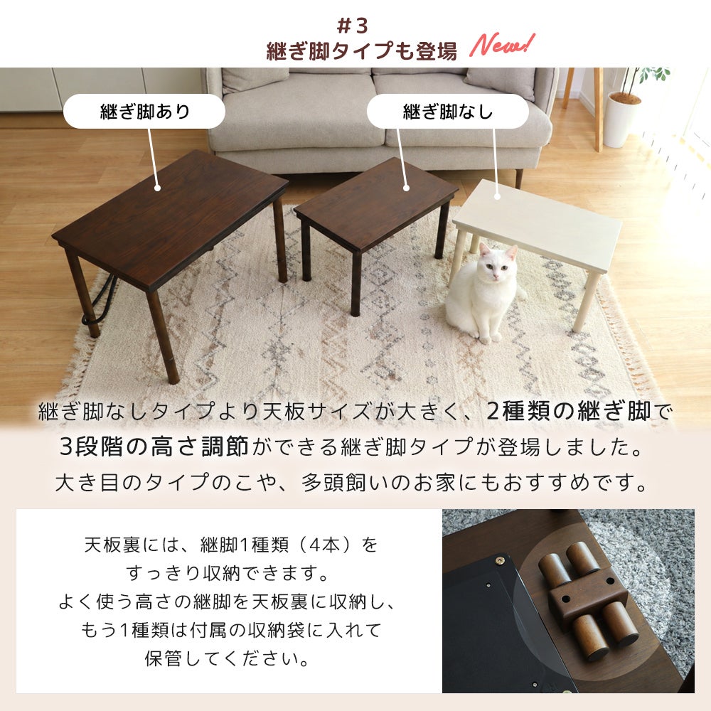 yamasoro,ヤマソロ