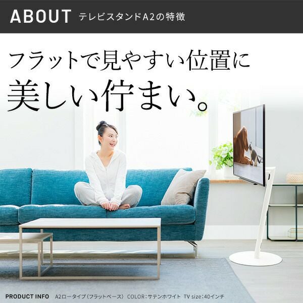 WALLインテリアテレビスタンドA2 ロータイプ＋レコーダー棚板セット