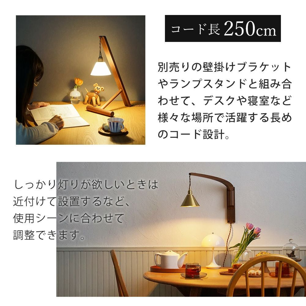 中間スイッチ付ソケットコードE17プラグタイプ 250cm アクシス（AXCIS