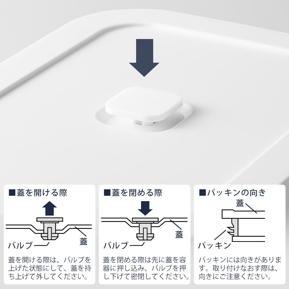 山崎実業 公式 冷凍ごはん容器＆バルブ付き密閉ランチボックスセット