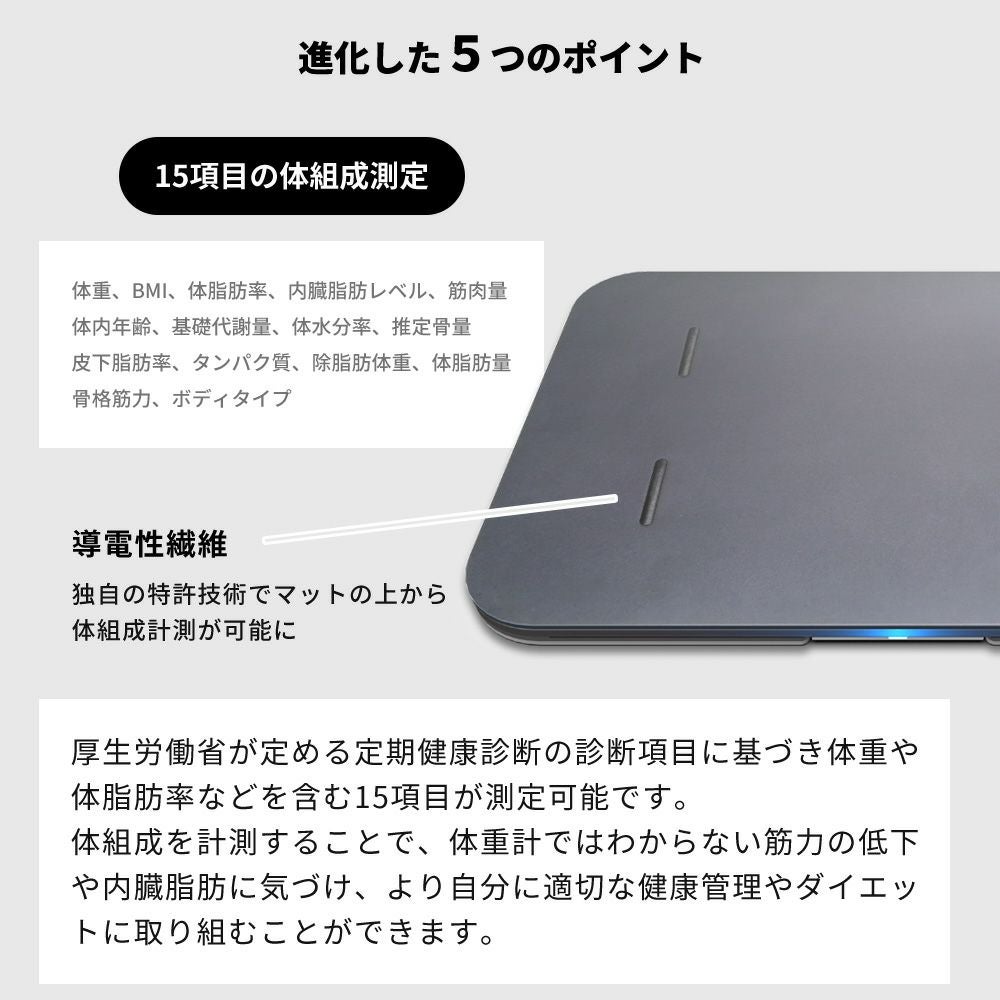 issin 取替用ソフト珪藻土マット 体組成計モデル専用 ミニオン