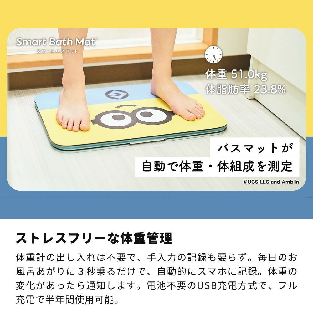 issin 取替用ソフト珪藻土マット 体組成計モデル専用 ミニオン