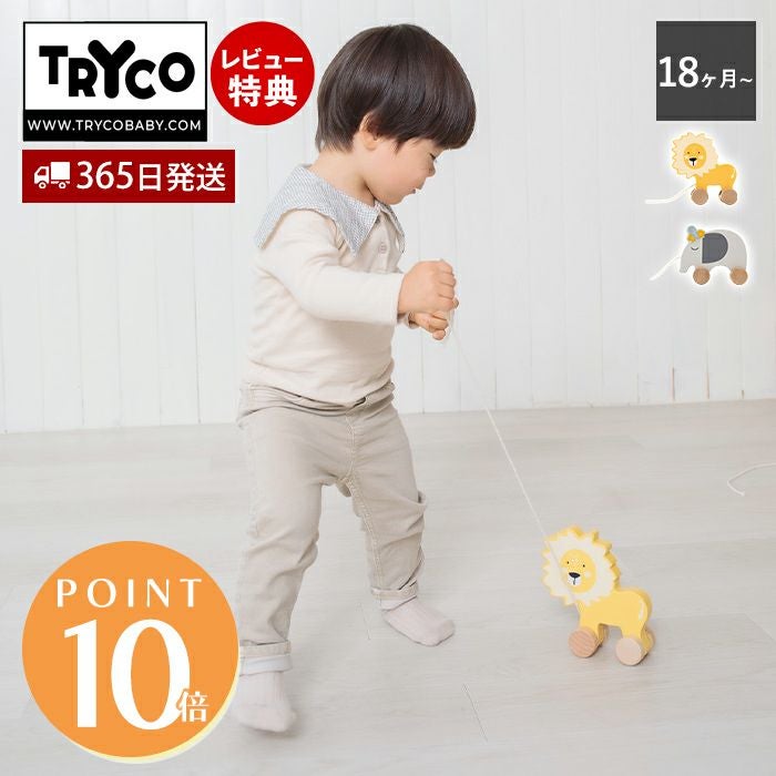 プルトイ 歩行練習 木製 Tryco | ヤマソロ公式