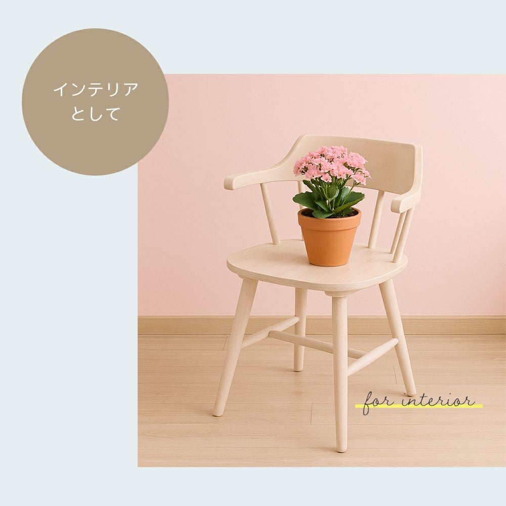 ダイニングチェア Winn(ウィン) 1脚 2脚セット 4脚セット ヤマソロ