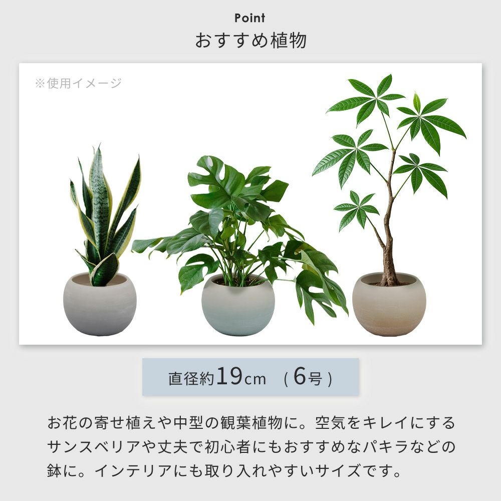 植木鉢 19cm 6号 Gonfler ゴンフレ ヤマソロ | ヤマソロ公式