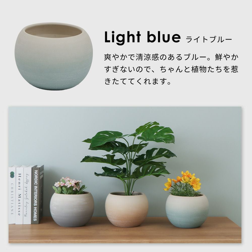 【まとめ売り参考投稿】植木鉢 e0b4c3ce-48bd-429a-bedd-