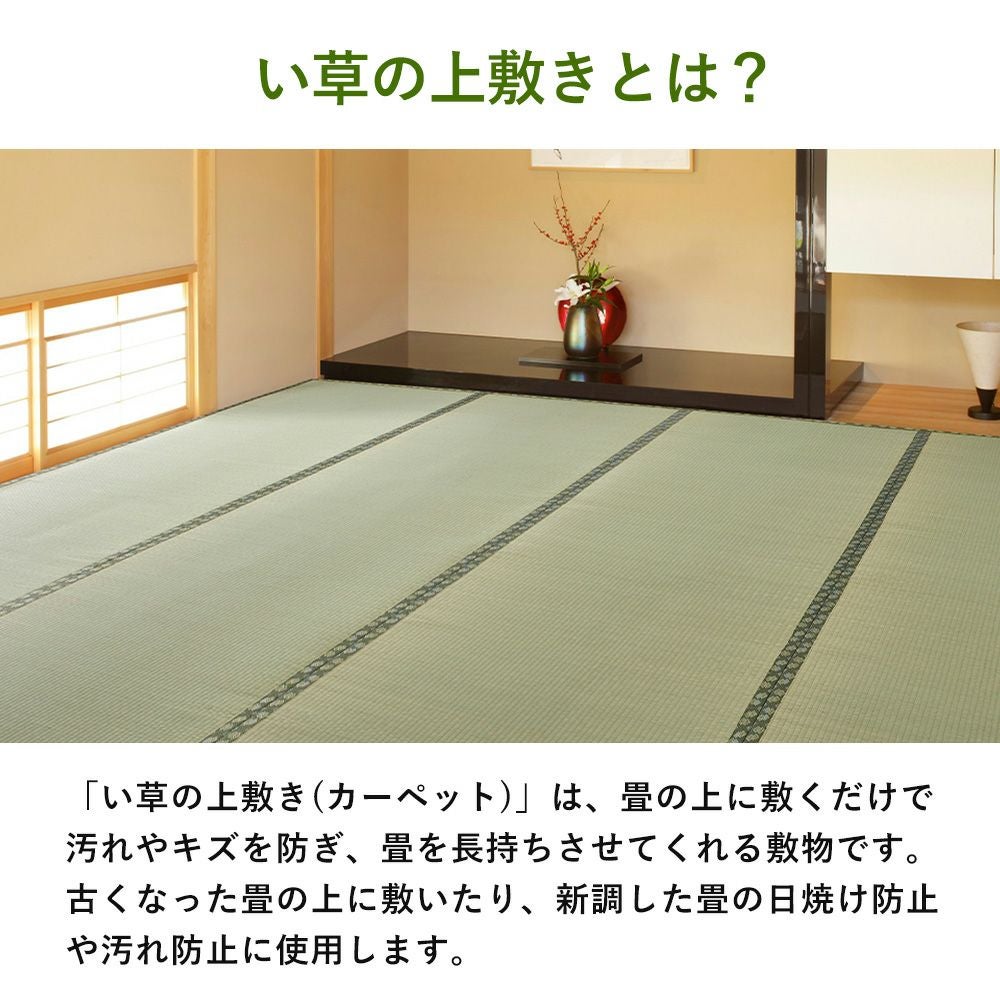 い草カーペット 天草 国産 1畳 2畳 3畳 4.5畳 6畳 8畳 10畳 江戸間
