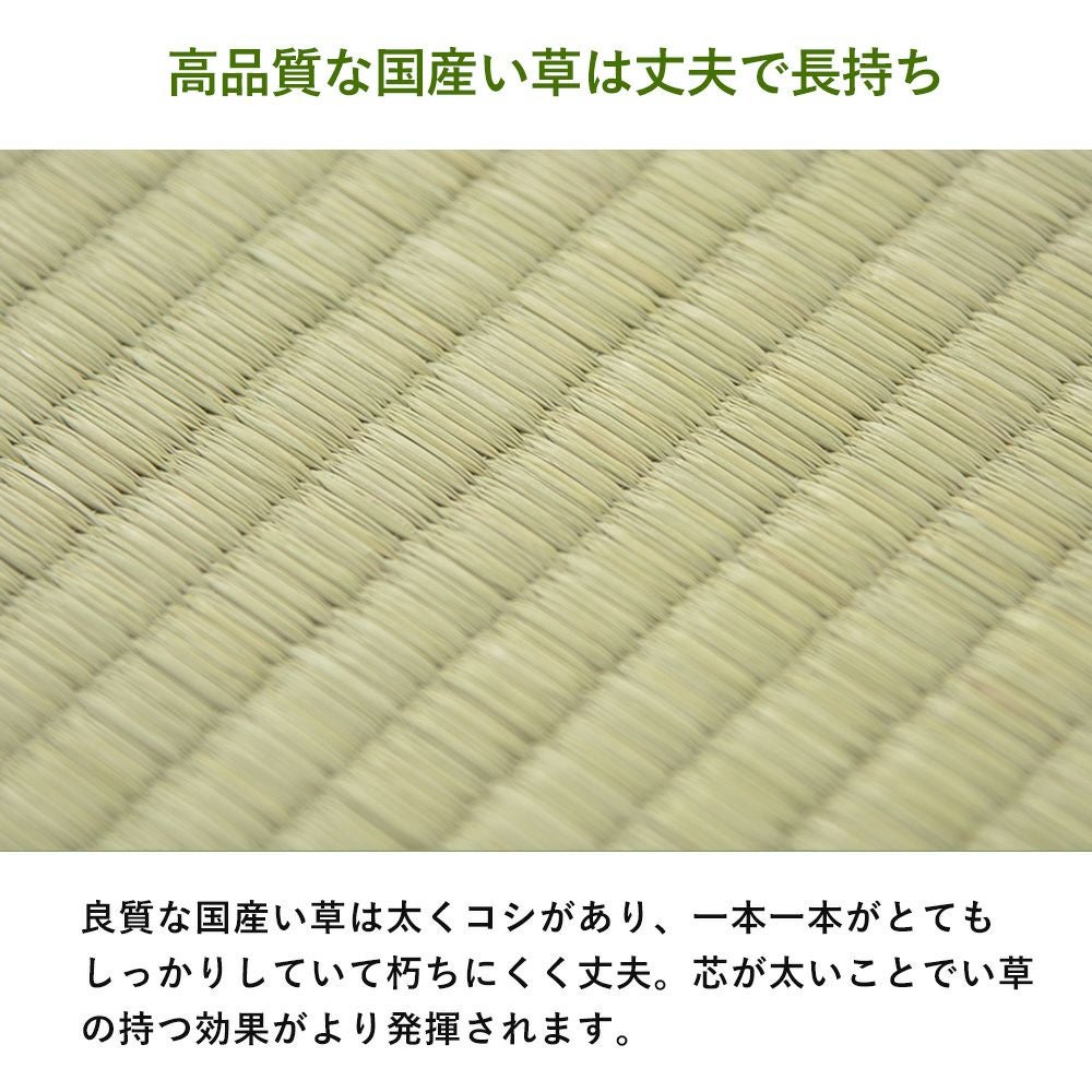 い草カーペット 天草 国産 1畳 2畳 3畳 4.5畳 6畳 8畳 10畳 江戸間