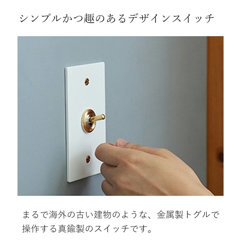 ホワイトスチールプレート スイッチ アクシス（AXCIS） | ヤマソロ公式