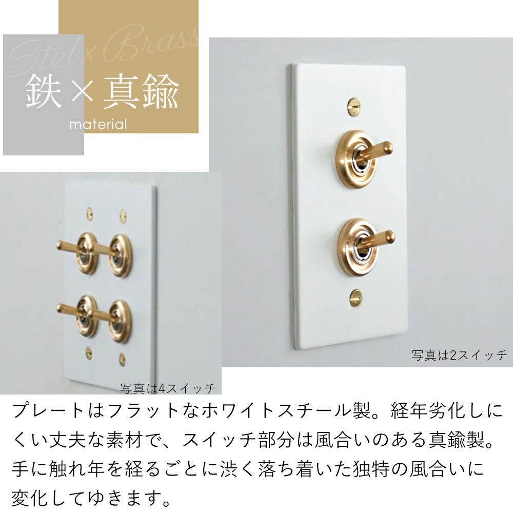 ホワイトスチールプレート スイッチ アクシス（AXCIS） | ヤマソロ公式