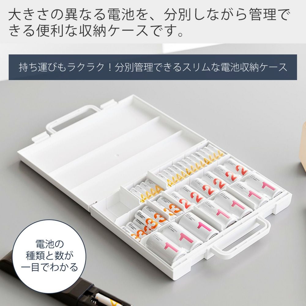 実動品 限定品 MINOLTA PROD20'S ケース キャップ付 電池付 Minolta