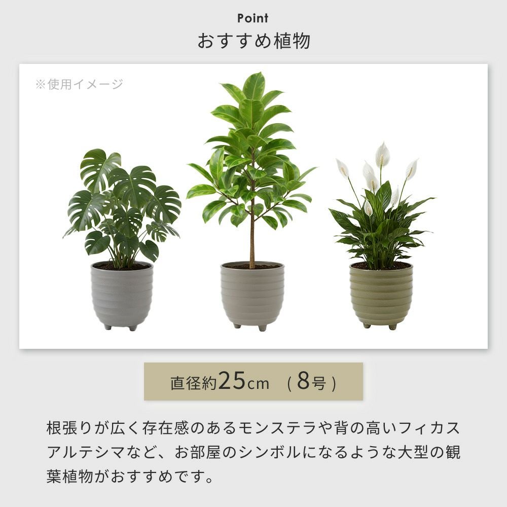 植木鉢 25cm 8号 Pierna ピエルナ ヤマソロ | ヤマソロ公式