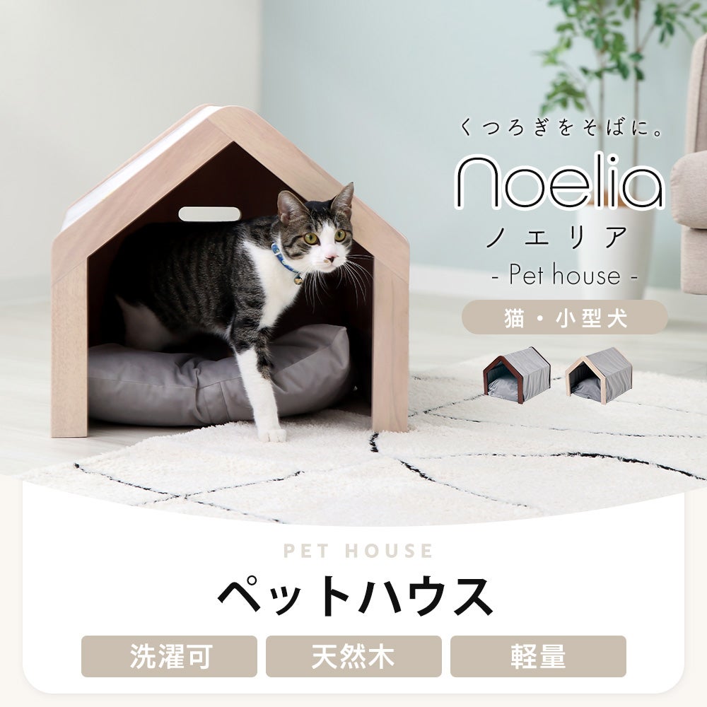 ペットハウス Noelia(ノエリア) ヤマソロ | ヤマソロ公式