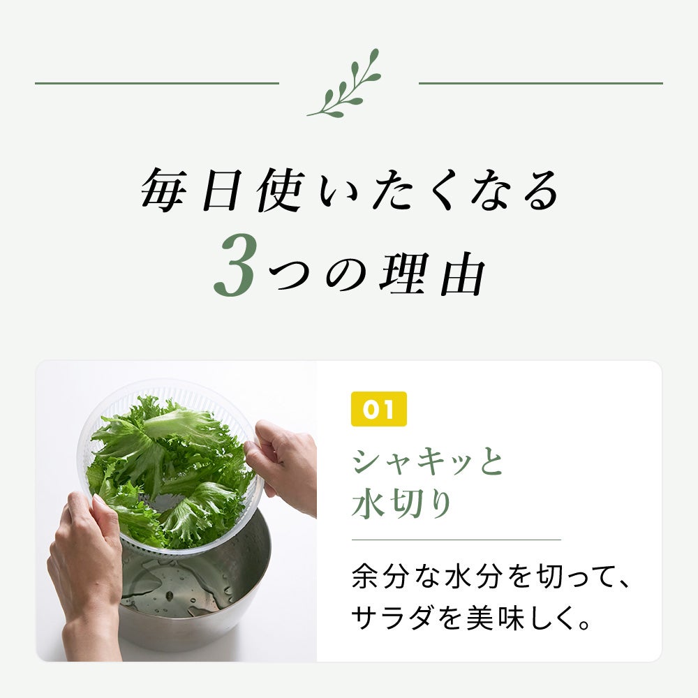 365methods ステンレスサラダスピナー | ヤマソロ公式